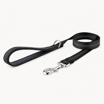 🎁 FREE ParoPet Classic Dog Lead