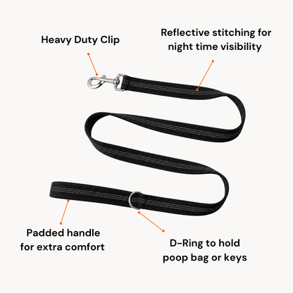 🎁 FREE ParoPet Classic Dog Lead