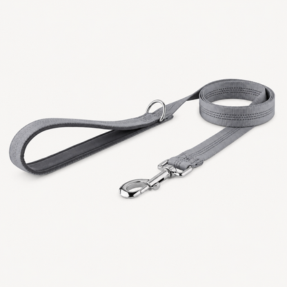 🎁 FREE ParoPet Classic Dog Lead