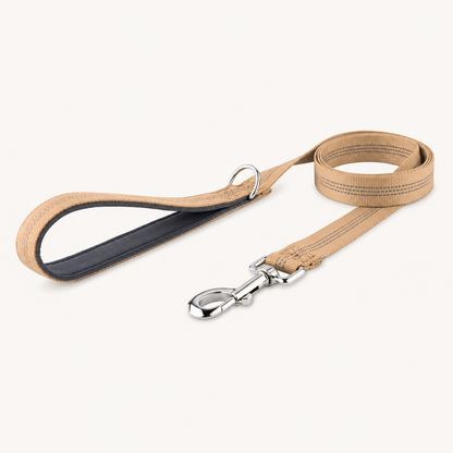 🎁 FREE ParoPet Classic Dog Lead