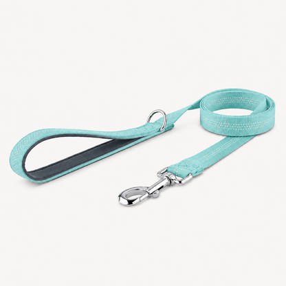🎁 FREE ParoPet Classic Dog Lead
