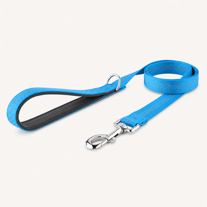 🎁 FREE ParoPet Classic Dog Lead