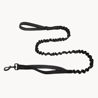 🎁 FREE ParoPet Bungee Lead