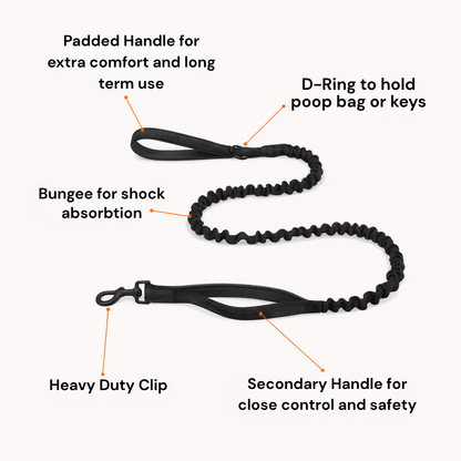 ParoPet Bungee Dog Lead