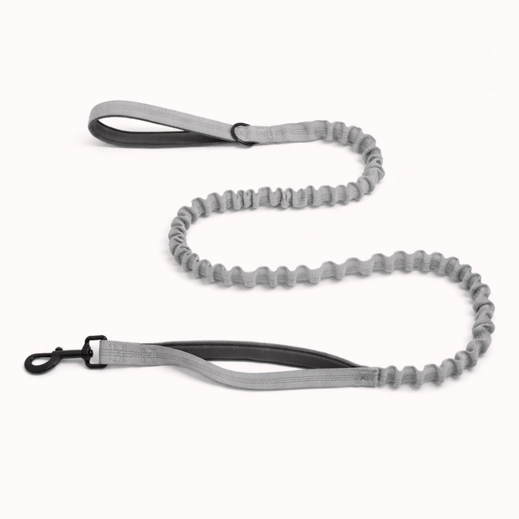 ParoPet Bungee Dog Lead