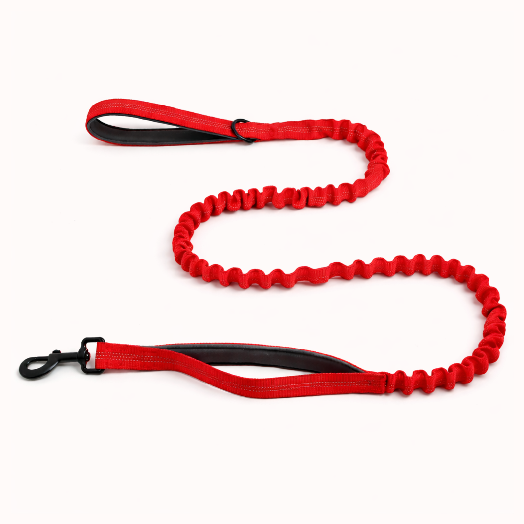 ParoPet Bungee Dog Lead