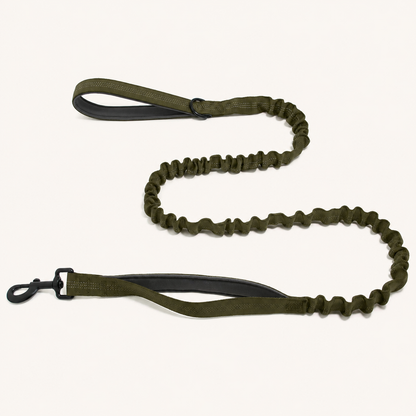 ParoPet Bungee Dog Lead