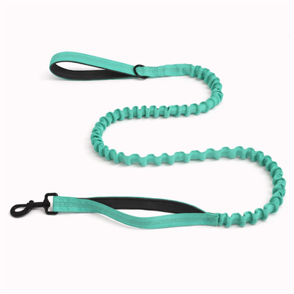 ParoPet Bungee Dog Lead