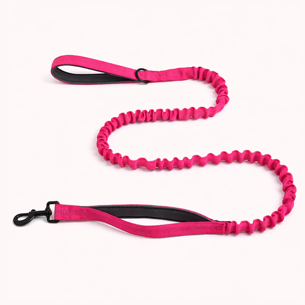 ParoPet Bungee Dog Lead