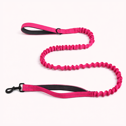 ParoPet Bungee Dog Lead