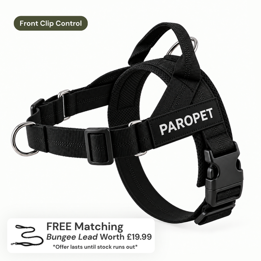 ParoPet No-Pull Dog Harness