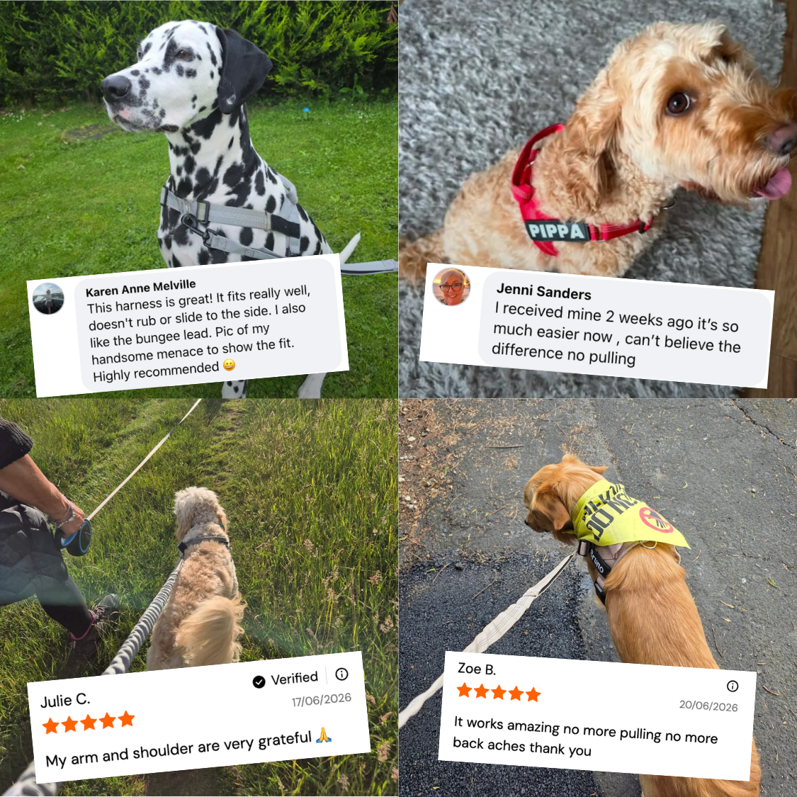 ParoPet No-Pull Dog Harness