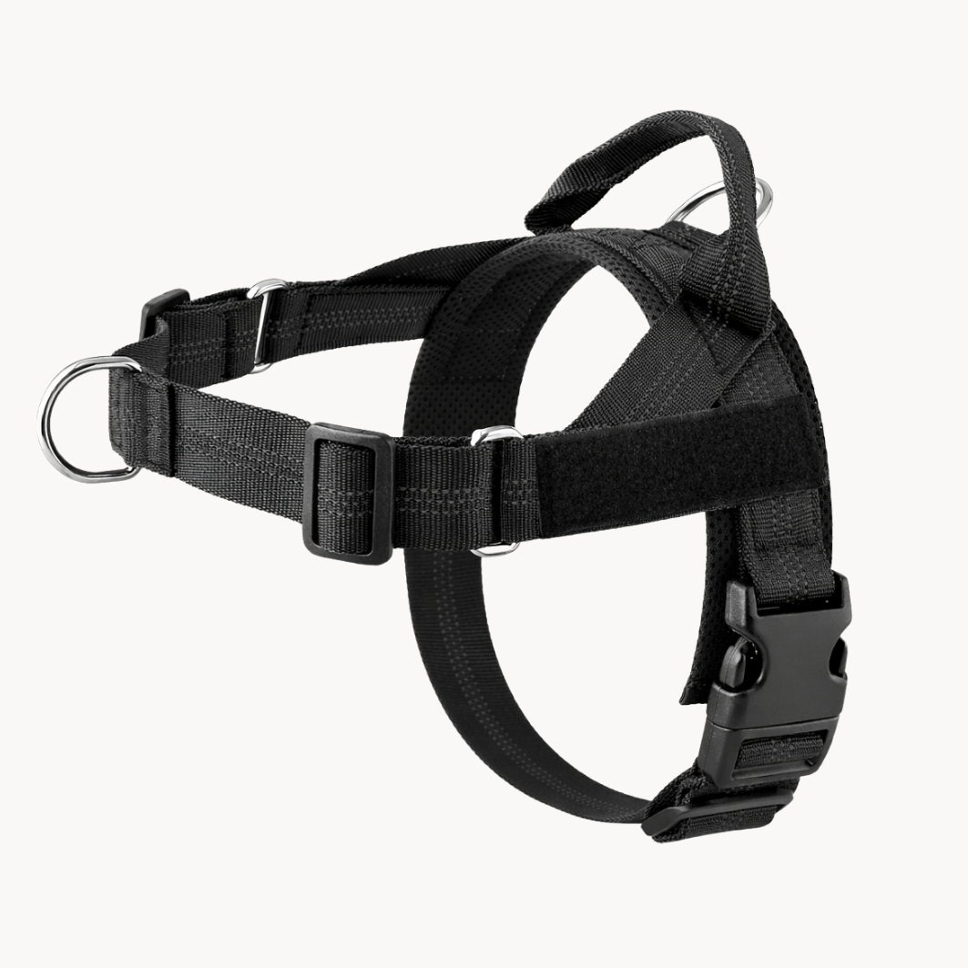 ParoPet No-Pull Dog Harness