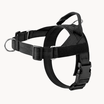 ParoPet No-Pull Dog Harness