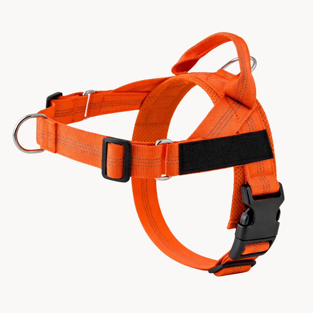 ParoPet No-Pull Dog Harness