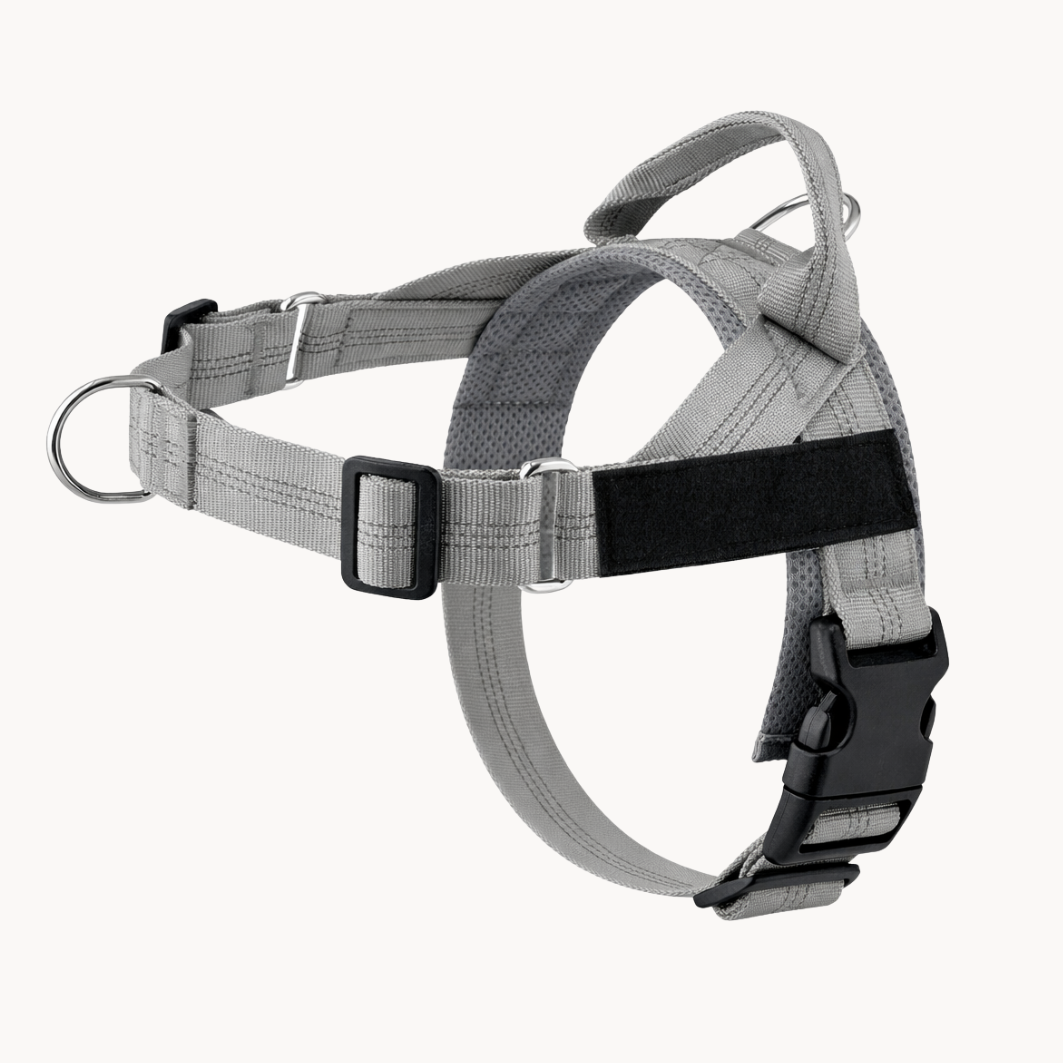 ParoPet No-Pull Dog Harness