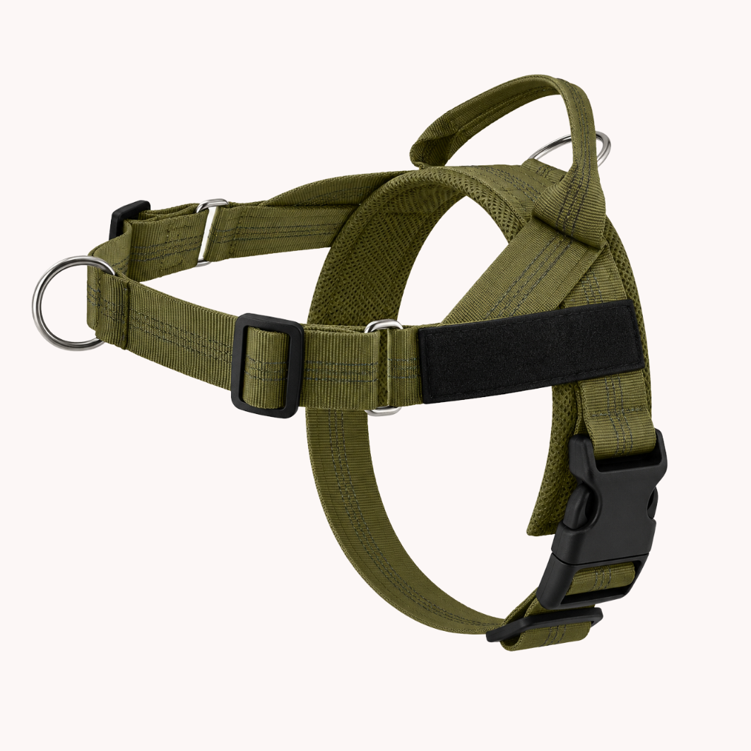 ParoPet No-Pull Dog Harness