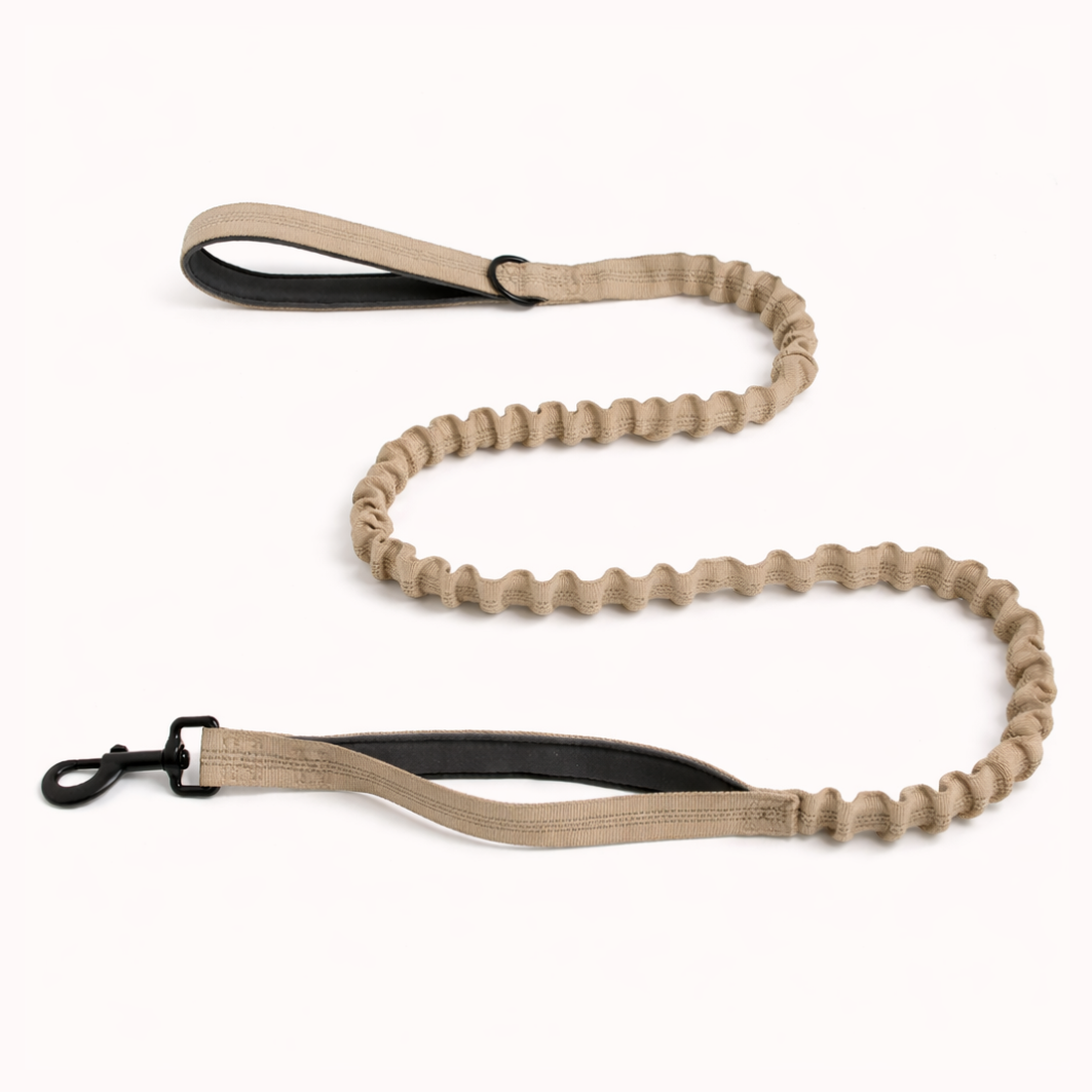 ParoPet Shock-Absorbing Bungee Lead