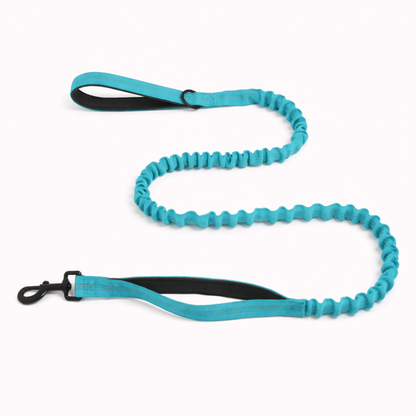 ParoPet Shock-Absorbing Bungee Lead